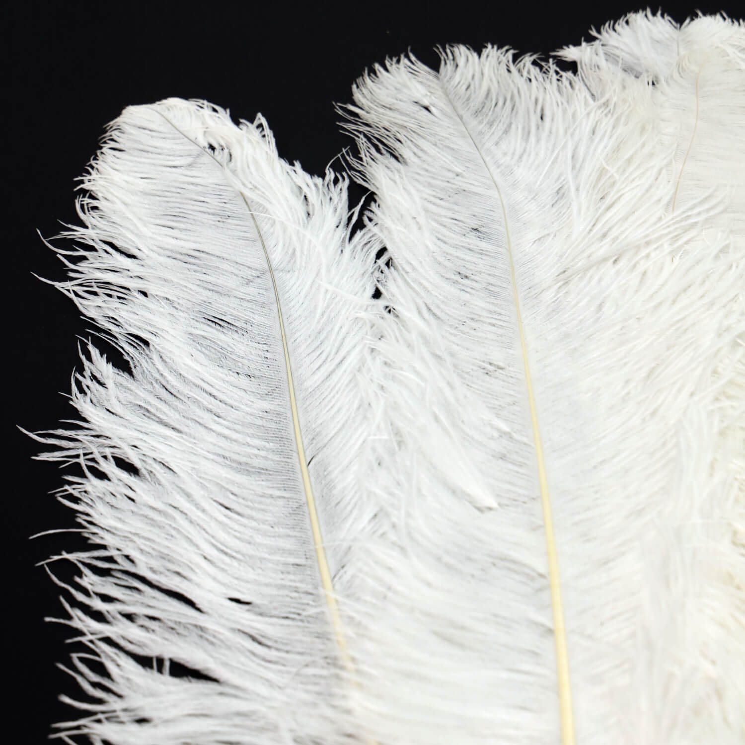 24"-26" Length White Natural Ostrich Feathers Centerpiece Filler-ubackdrop