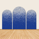 Winter Blue Sky and White Snow Arch Backdrop Covers