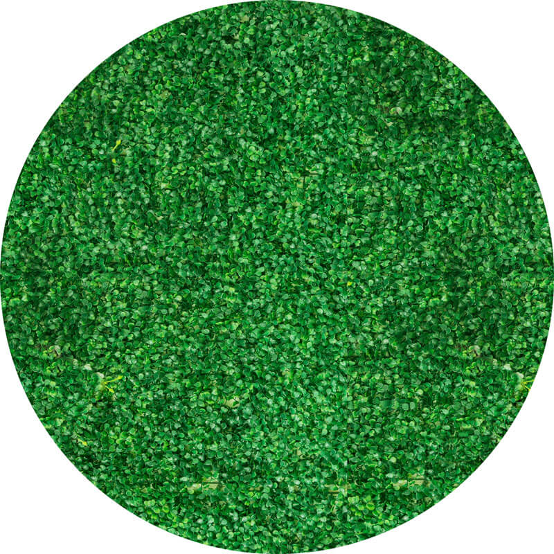 Boxwood Round Backdrop | Birthday Party Decoration-ubackdrop