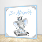 Boy Elephant Baby Shower Backdrop - Designed, Printed & Shipped