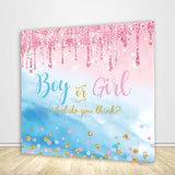 Boy or Girl Gender Reveal Backdrop