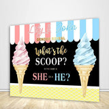 Custom Girl or Boy Gender Reveal Backdrop Blue or Pink Gender Reveal Photo Backdrop