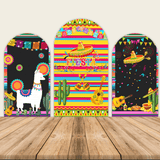Fiesta Theme Party Decoration Chiara Backdrop Arched Wall Covers ONLY