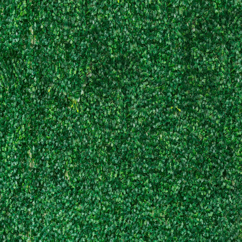 Greenery Wall Backdrop for Birthday&Baby Shower&Wedding&Any Other Party-ubackdrop