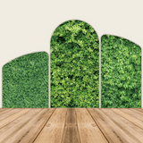 Hedge Chiara Arch Backdrop