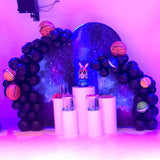 Starry Theme Chiara Backdrop Arched Wall Covers ONLY