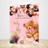 Teddy Bear Baby Shower Theme Backdrop