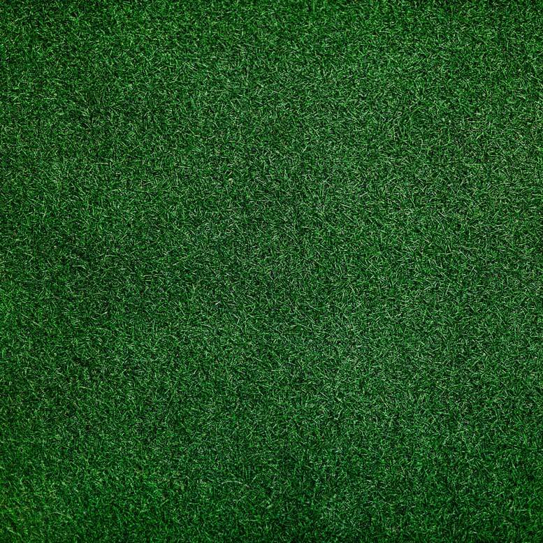 Green Grass Backdrop Fabric Backdrop for Baby Shower Wedding Party Photoshoot-ubackdrop