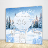 Winter Wonderland Backdrop for Baby Shower