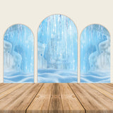 Winter Wonderland Ice and Snow Birthday Chiara Arched Wall Covers