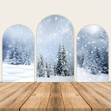 Winter Wonderland Snow Scenery Chiara Arched Wall Covers