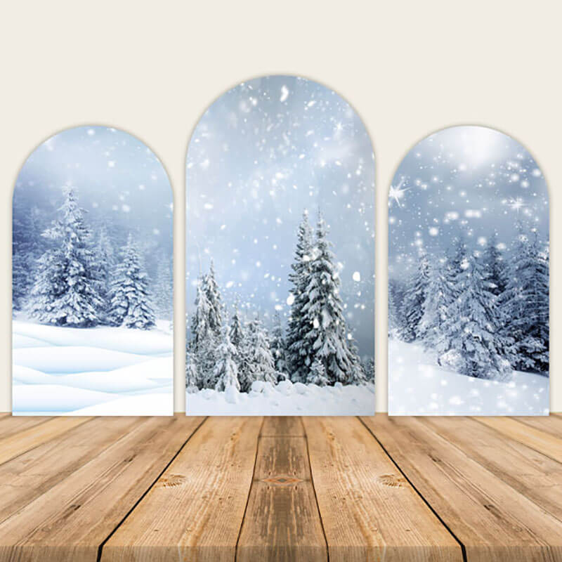 Winter Wonderland Snow Scenery Chiara Arched Wall Covers-ubackdrop