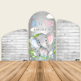Elephant Chiara Backdrop